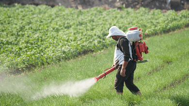 Telangana: 23 farm workers fall ill after suspected contaminated water in Mulugu