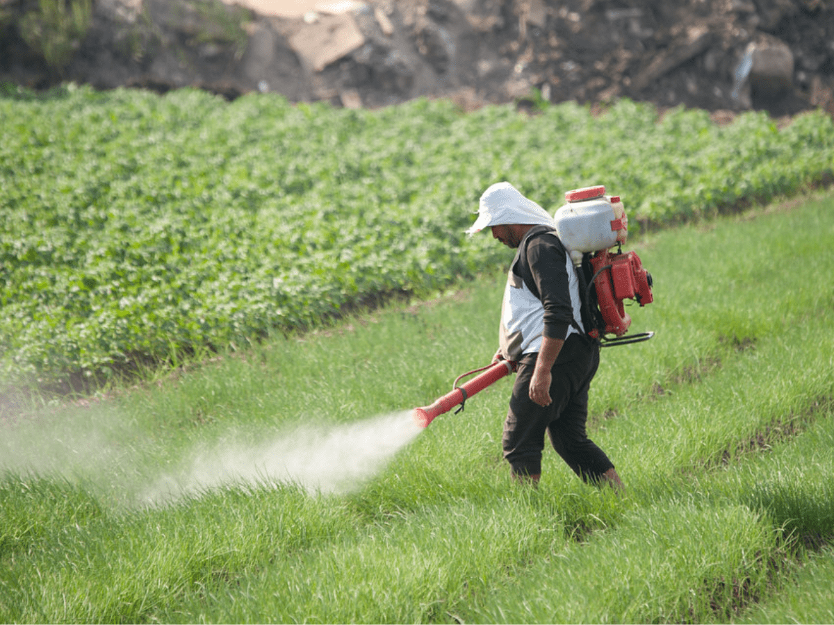 Telangana: 23 farm workers fall ill after suspected contaminated water in Mulugu