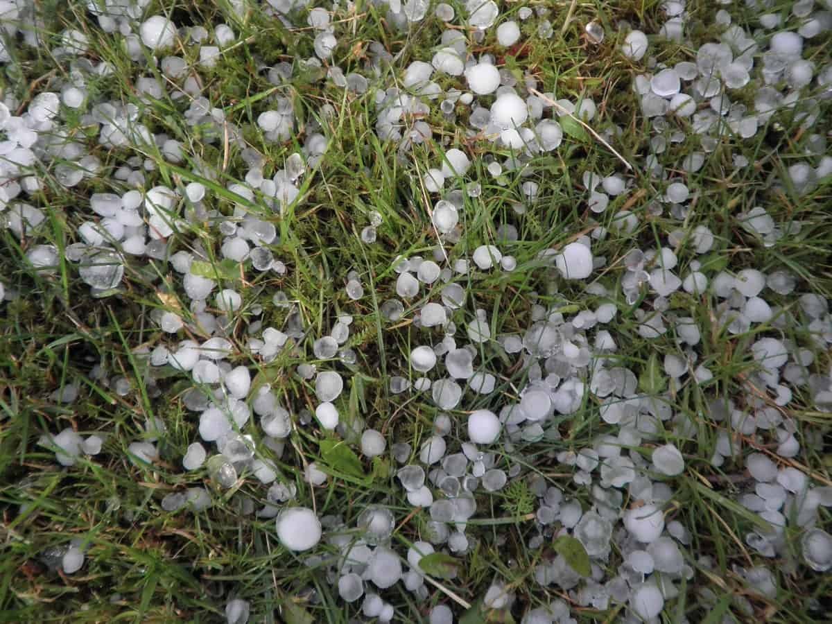 hailstorm in Telangana