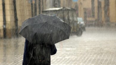 Heavy rain forecast for parts of Andhra Pradesh till Sunday