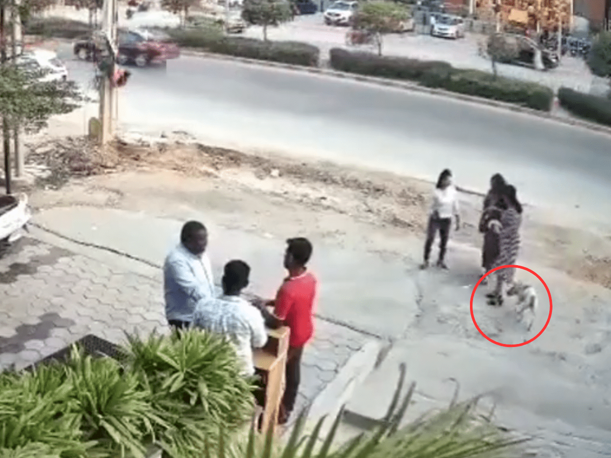 Stray dog attacks in Hyderabad