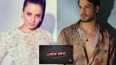 Confirmed: Umar Riaz set to enter Lock Upp 2