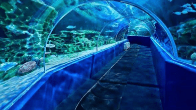 Hyderabad: Tenders for Aqua Marine Park project invited by HMDA