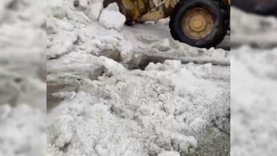 Watch: Hailstorm blankets Taif region in Saudi Arabia, disrupts traffic