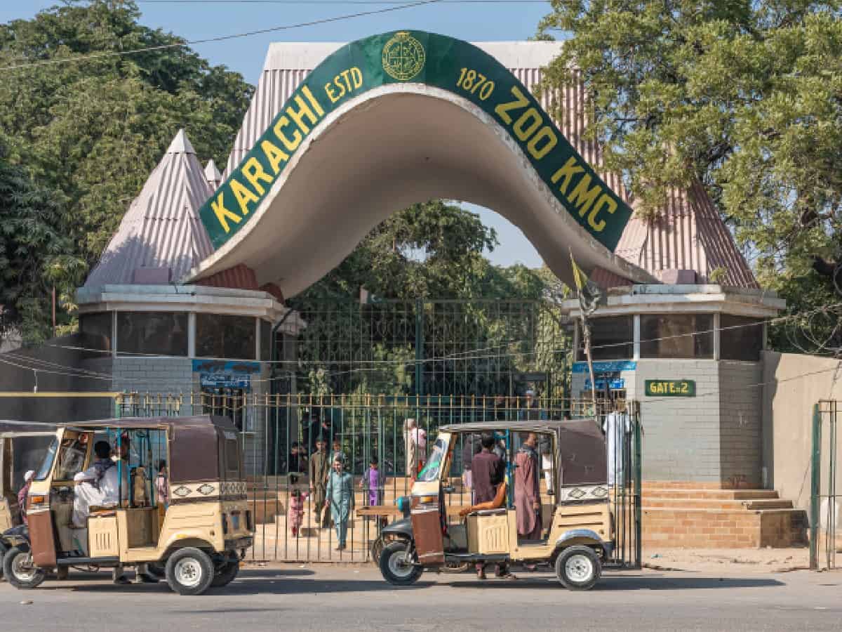 Pakistan's largest zoo faces permanent closure amid public outcry