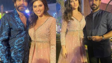 Elnaaz Norouzi poses with Nagarjuna, Ram Charan and others, pics viral