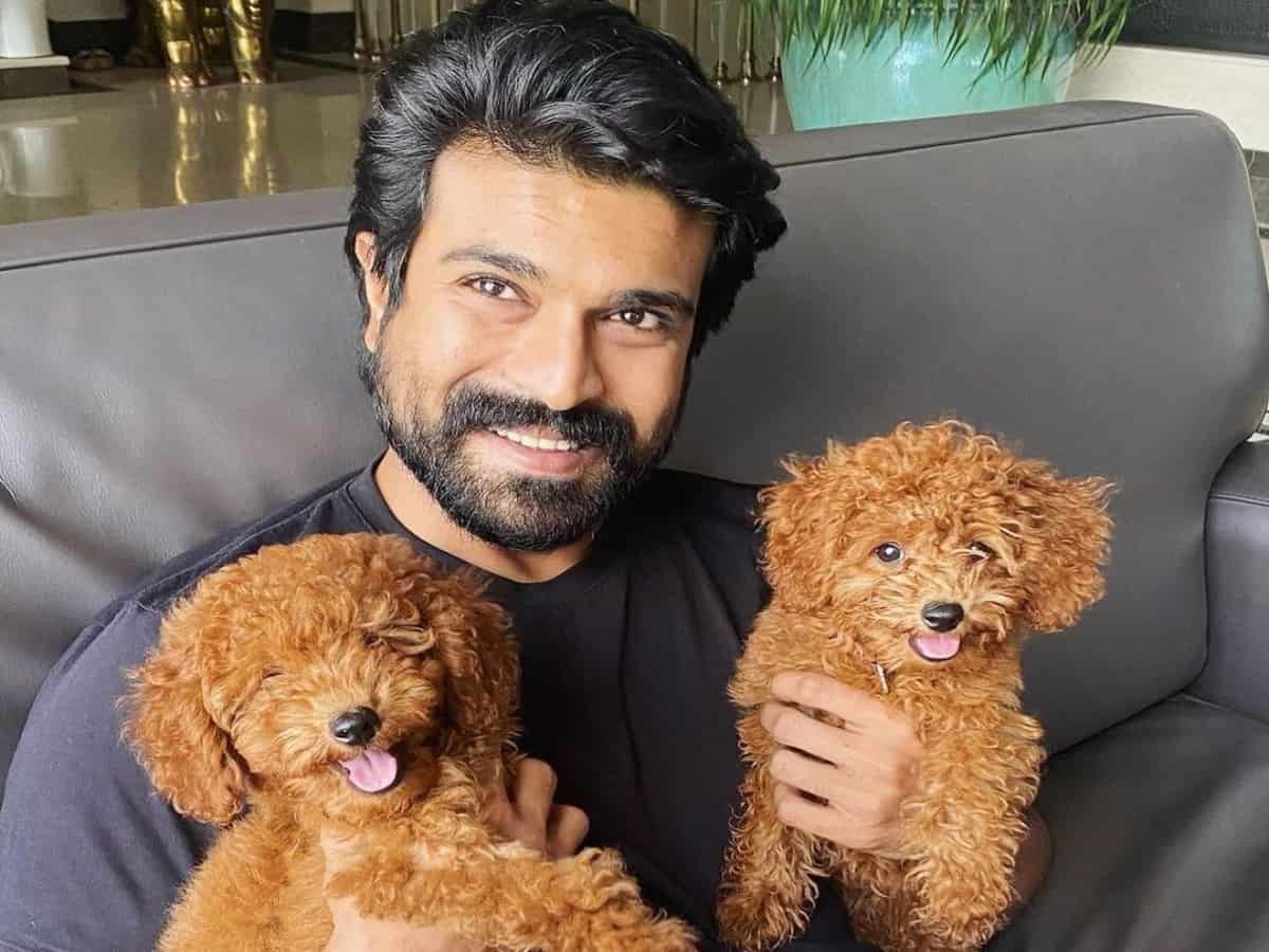 Ram Charan's expensive pet Rhyme's price will stun you!