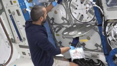 Watch: Sultan Al Neyadi sends back critical research sample from ISS