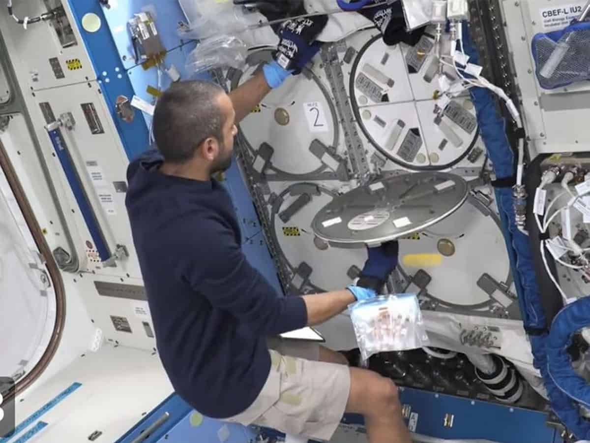 Watch: Sultan Al Neyadi sends back critical research sample from ISS