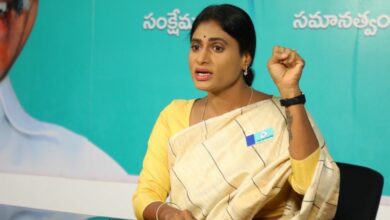 Open to talk with anybody: YS Sharmila on rumours of talks with Congress