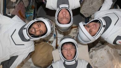Watch: UAE astronaut Al Neyadi relocate SpaceX Dragon spacecraft docking port