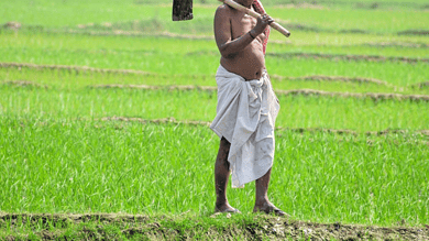 Telangana: Rs 65K cr given to 70K farmers in 5 yrs of Rythu Bandhu