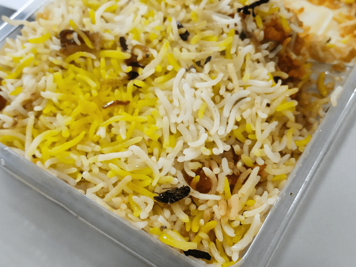 Hyderabad: Restaurant slapped 20K fine after cockroach crawls out of biryani