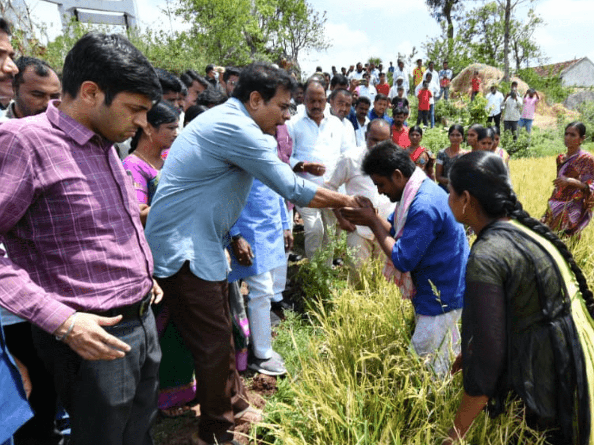 KTR checks on farmers in Rajanna Sirisilla, ensures support