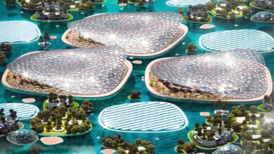 World’s largest ocean restoration project ‘Dubai Reefs’ unveiled in Dubai