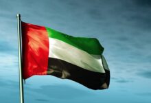UAE: 894 companies fined for violating Emiratisation rules
