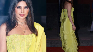 Priyanka Chopra makes rare appearance in saree, see her outfit's price