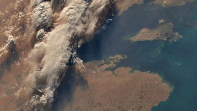 UAE astronaut shares image of Qatar, Bahrain from 400 km away