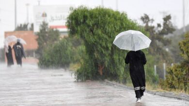 Highest in 40 years: Saudi received 31.81mm of rainfall in April