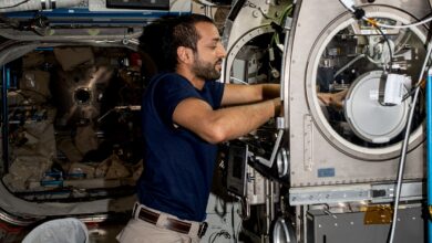 Sultan Al Neyadi conducts space experiment to cure Alzheimer’s disease