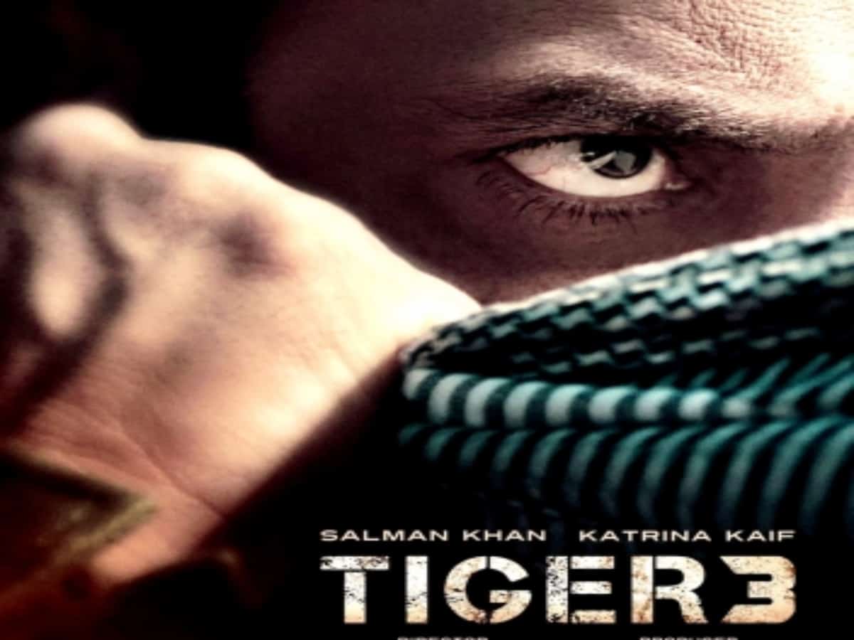 Rs 35 cr set to be constructed for Salman-SRK's sequence in 'Tiger 3'