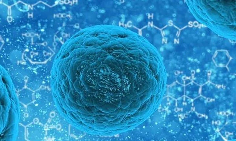 Explained: What is Disease X, tagged as more lethal next pandemic?