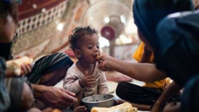 UN allocates $18mn to address food security in Yemen