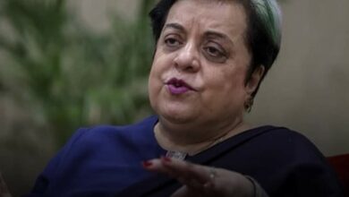 Senior leader Shireen Mazari quits PTI after being arrested several times
