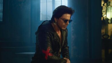 BIG updates on Shah Rukh Khan's Don 3