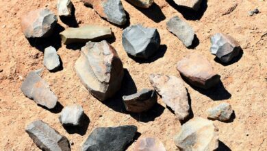 stone age tools in Hyderabad