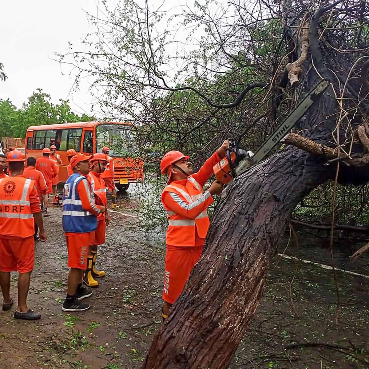 Cyclone Biparjoy impact in Gujarat