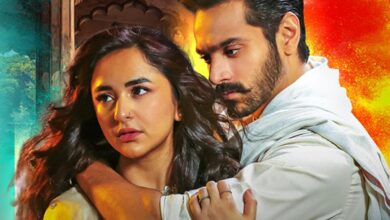 Pakistani drama Tere Bin's last episode is to air on THIS date!