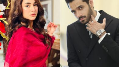 Tere Bin: Yumna Zaidi, Wahaj Ali's salary per episode