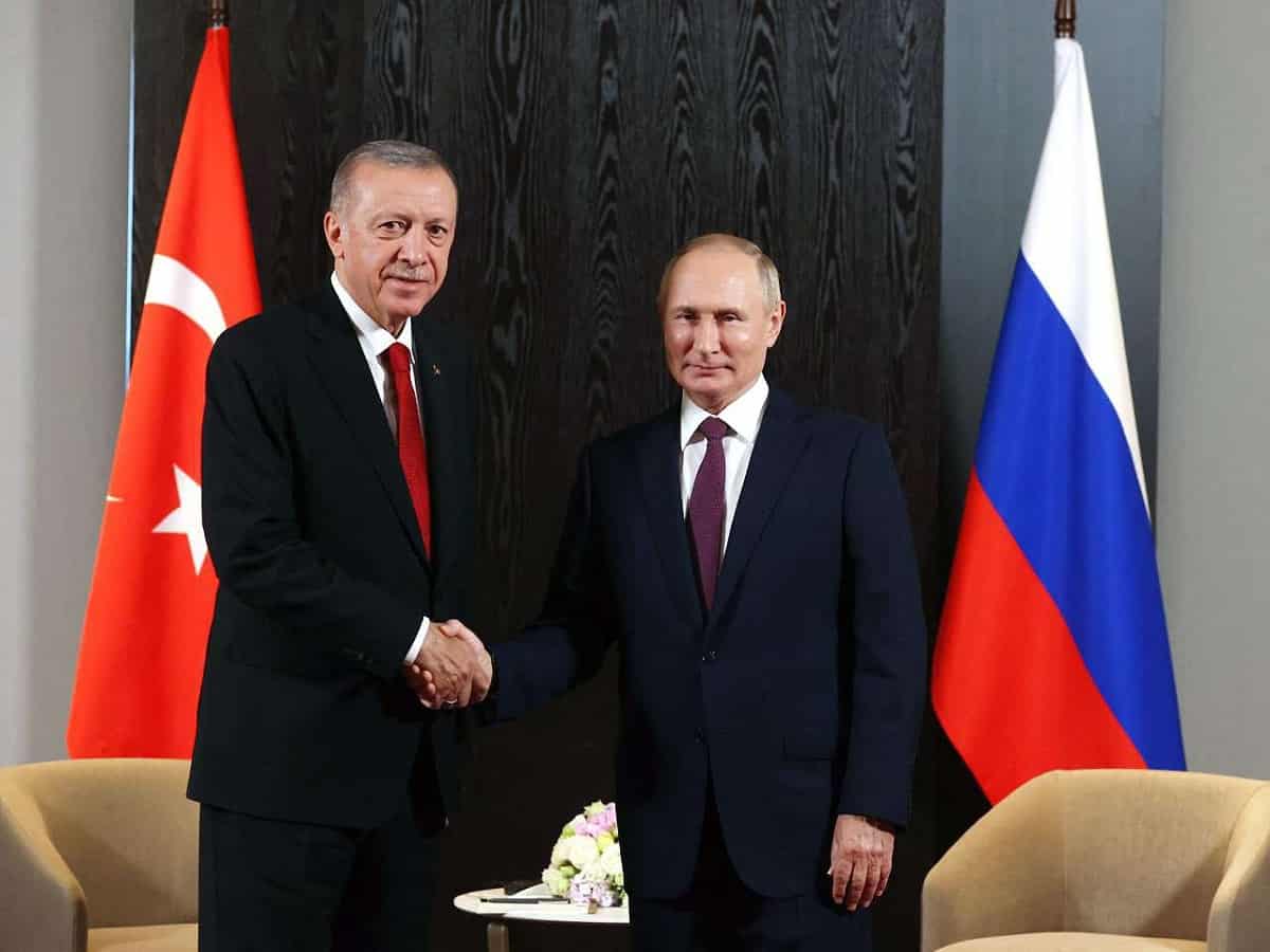 Erdogan discusses Ukrainian crisis with Russian President Putin