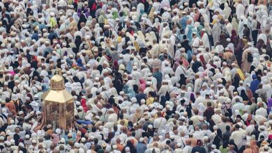 Saudi: 289 food firms to serve 30M meals for pilgrims during Haj