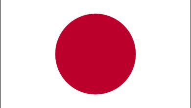 Japanese govt aims to break Apple, Google app store monopolies