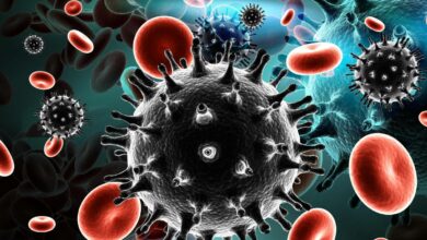 Study shows HIV can lie dormant in brain