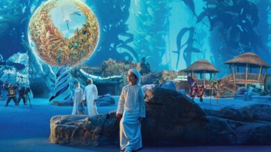 SeaWorld Abu Dhabi: Ticket prices, timings, all you need to know