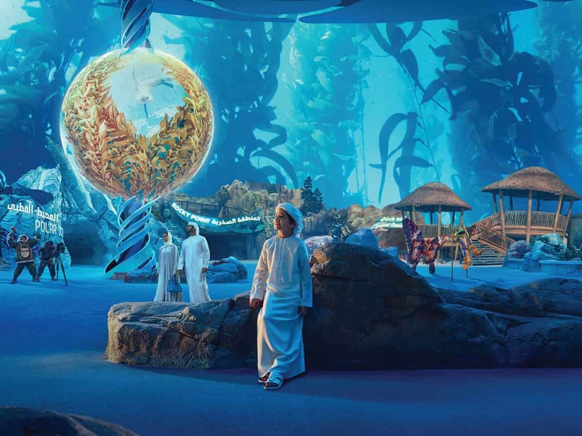 SeaWorld Abu Dhabi: Ticket prices, timings, all you need to know