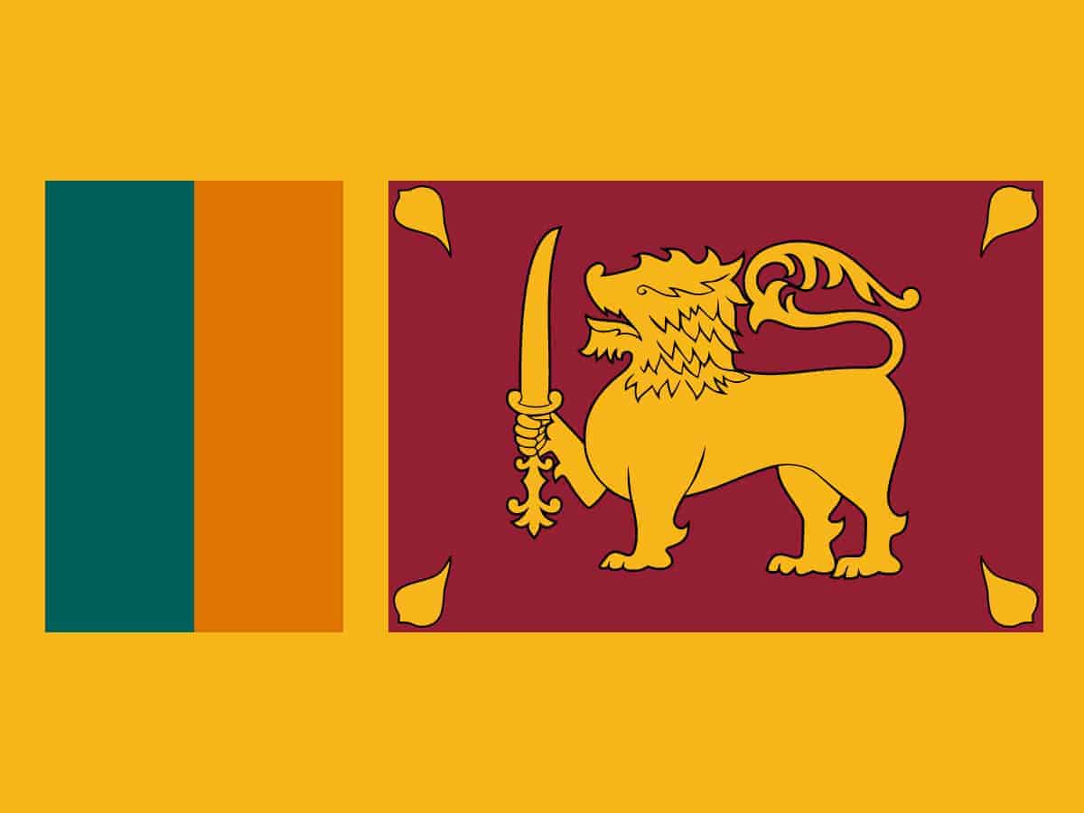 Sri Lanka's parliamentary committee approves debt restructuring plan with amendments