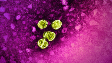 Two children test positive for HMPV in Chennai, recovering
