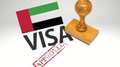 Has UAE stopped issuing work visas to Indians? Here's truth