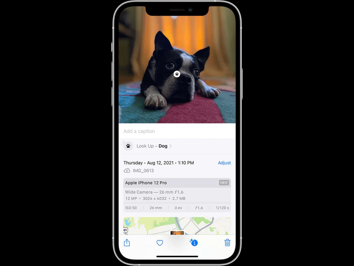 Apple iOS 17 offers new 'Look up' option in image cutout feature