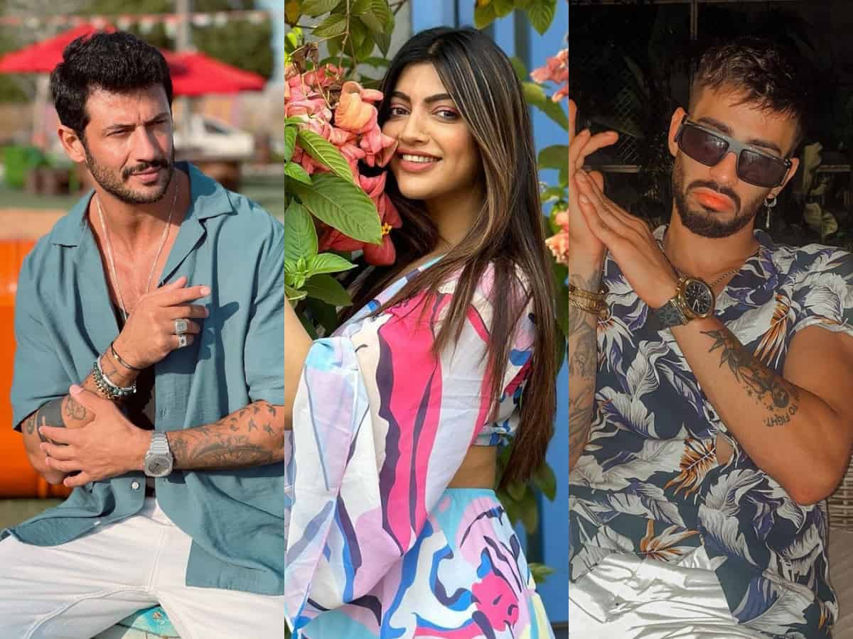 Final list of 12 contestants of Bigg Boss OTT 2