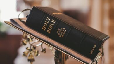 Primary schools in US state ban Bible for vulgarity, violence