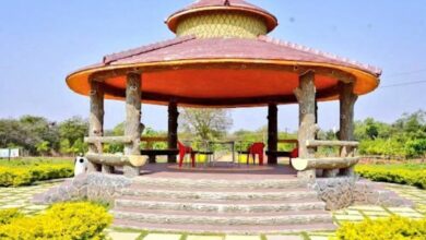 Telangana: Free entry in all major parks for Harithotsavam on June 19