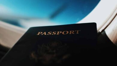 District collectors in six border states, J-K and Ladakh empowered to grant citizenship