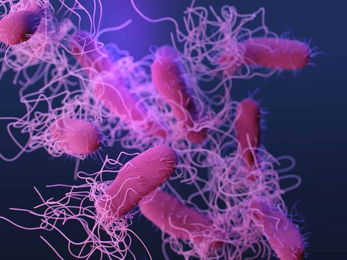 Endometriosis may be caused by bacterial infections: Study