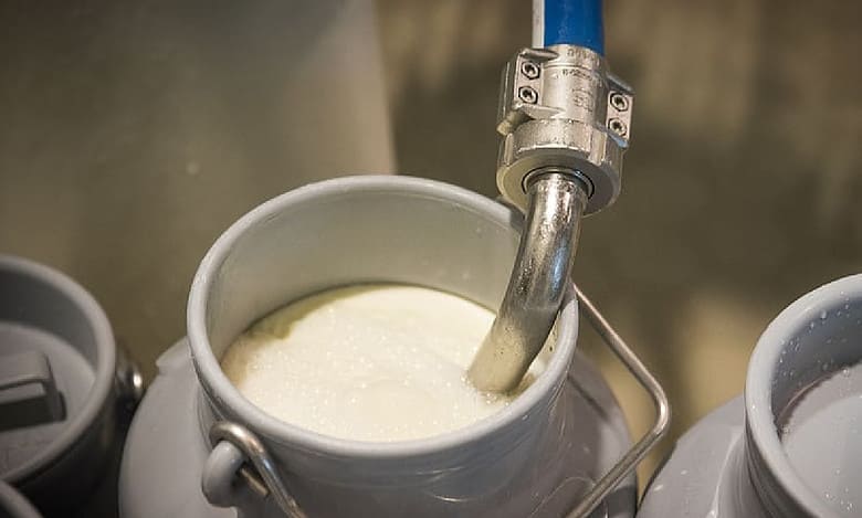 Milk production in Karnataka increases ahead of monsoon season