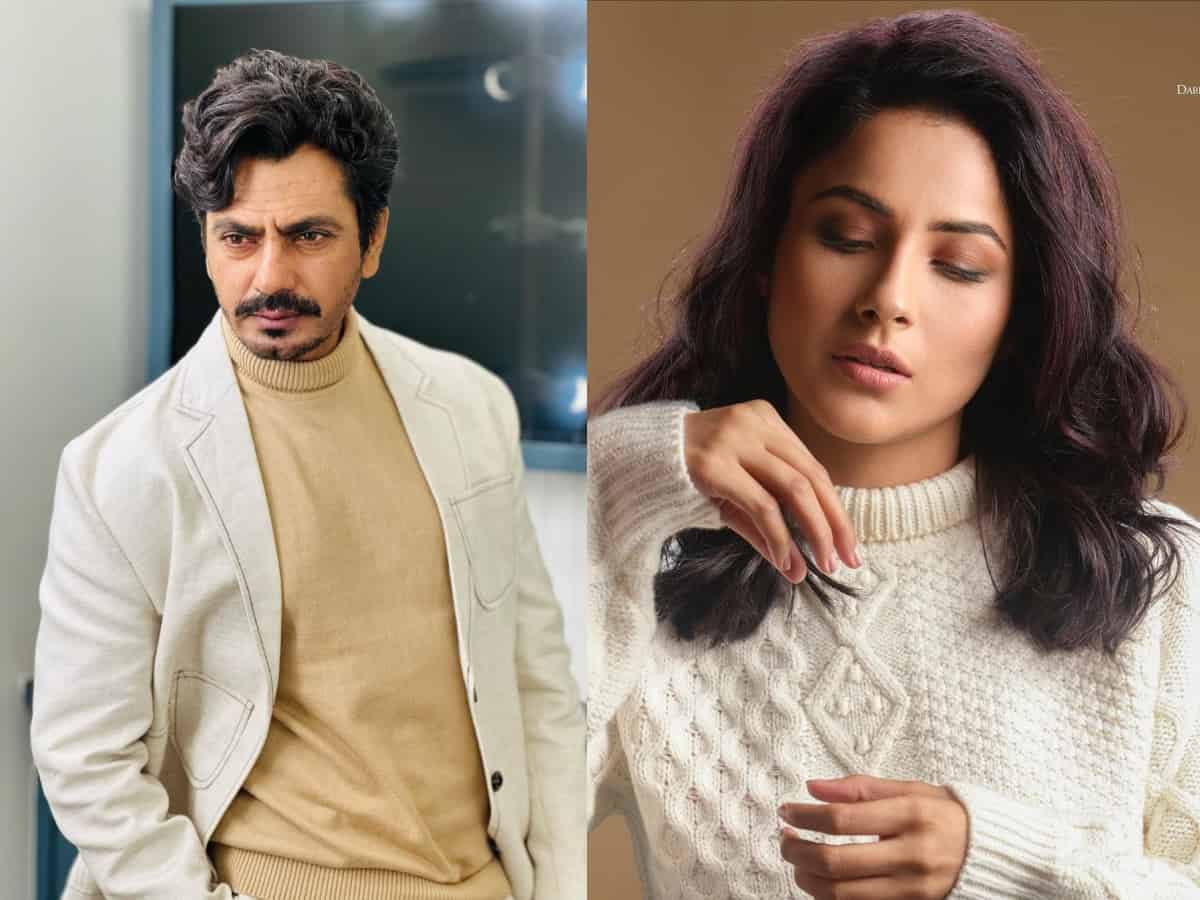 Shehnaaz Gill has many exciting projects in the pipeline